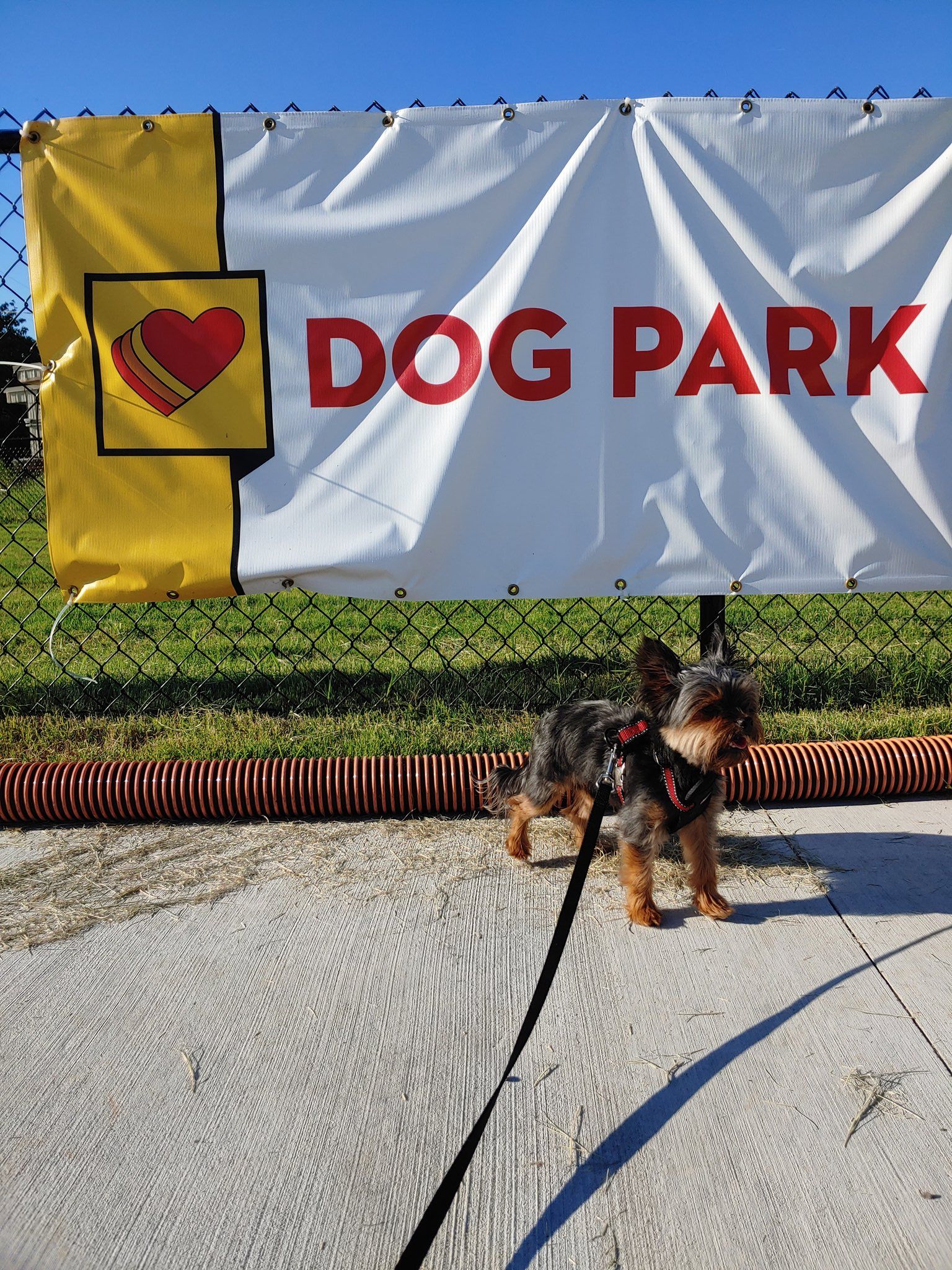 Парки для собак: сервис на АЗС для тех, кто путешествует со своими любимыми питомцами
