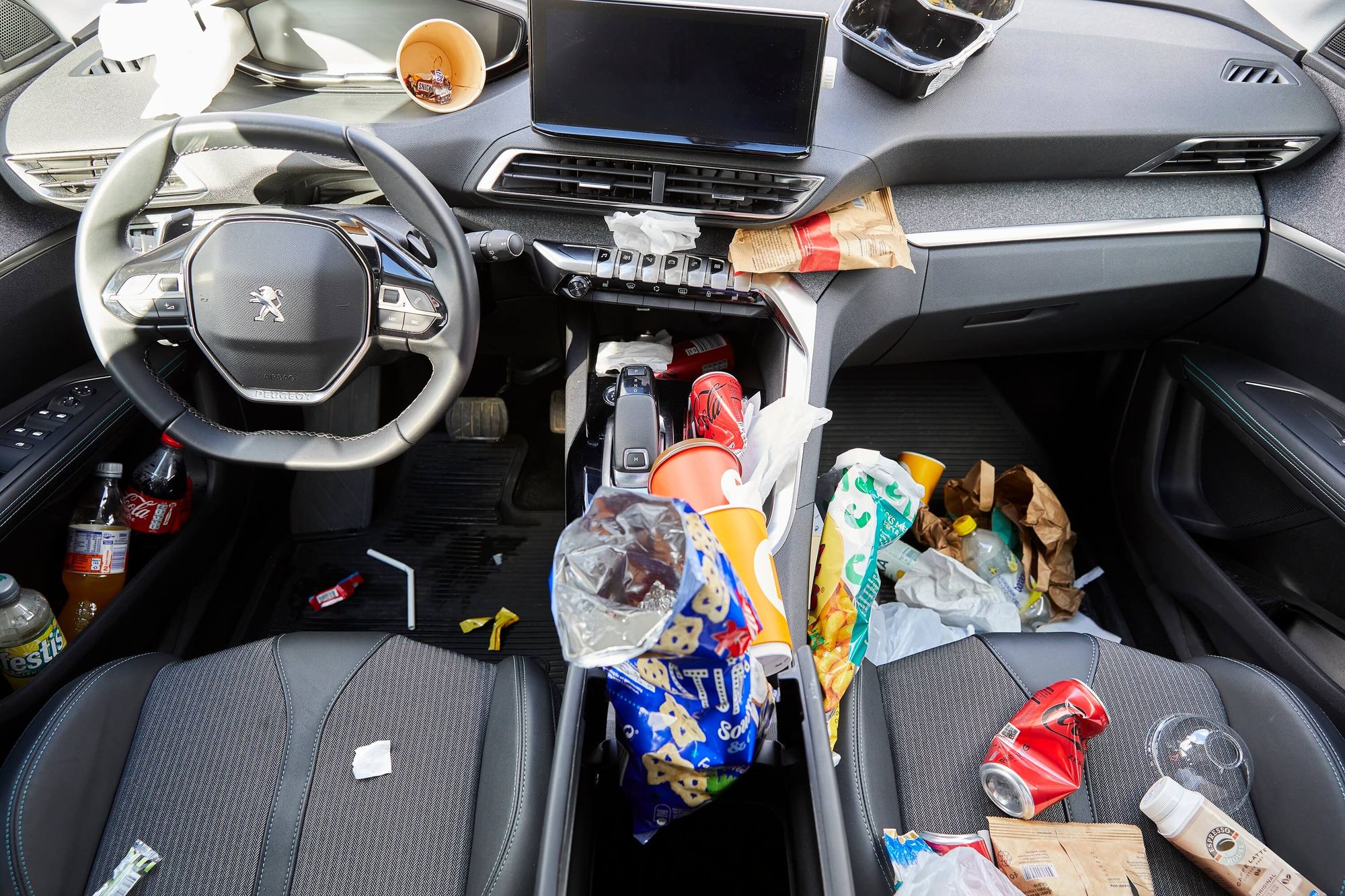 Почти каждый второй шведский автомобилист чистит салон автомобиля только раз в полгода