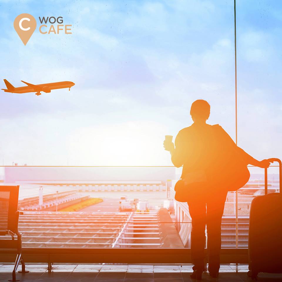 Сеть АЗС WOG осенью откроет WOG CAFE в терминале D международного аэропорта "Борисполь"