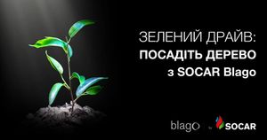 Зеленый драйв: Посадить дерево с SOCAR Благо в 1 клик