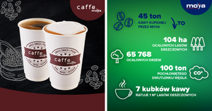 Кофе на MOYA помогает сохранять тропические леса