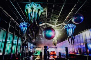 Световое шоу на автомойке Loogman в Нидерландах