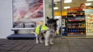 На АЗС Shell работает собака по кличке Жужа