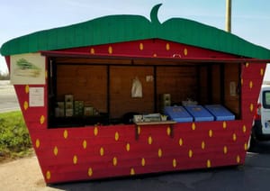 Клубничный павильон на АЗС в Германии