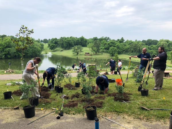 Заправляется клиент на АЗС — компания сажает дерево
