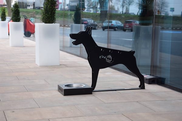 С заботой о четвероногих друзьях на АЗС